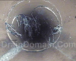 drain roots repair root relining does